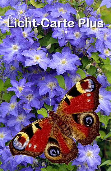 Licht-Carte Plus